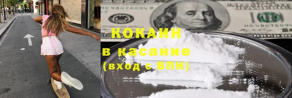 молекула духа Арсеньев