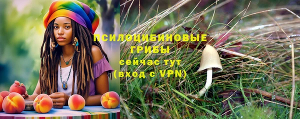прущие грибы Балабаново