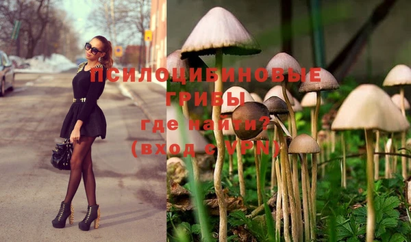 дживик Армянск