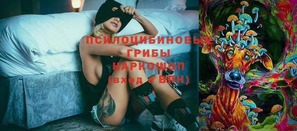 хмурый Балахна