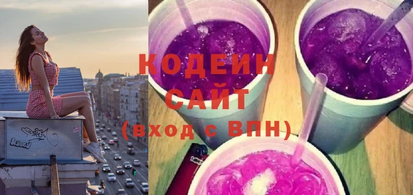 молекула духа Арсеньев