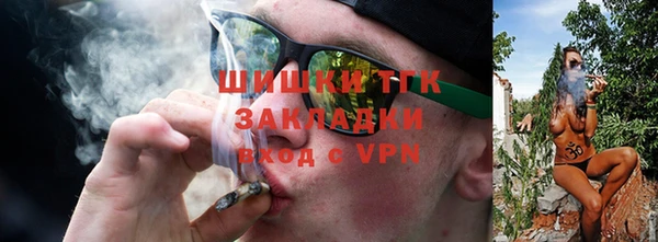 прущие грибы Балабаново
