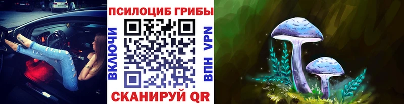 площадка телеграм  Сурск  Псилоцибиновые грибы Psilocybe  купить наркотик 