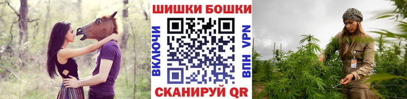 Шишки марихуана OG Kush Сурск